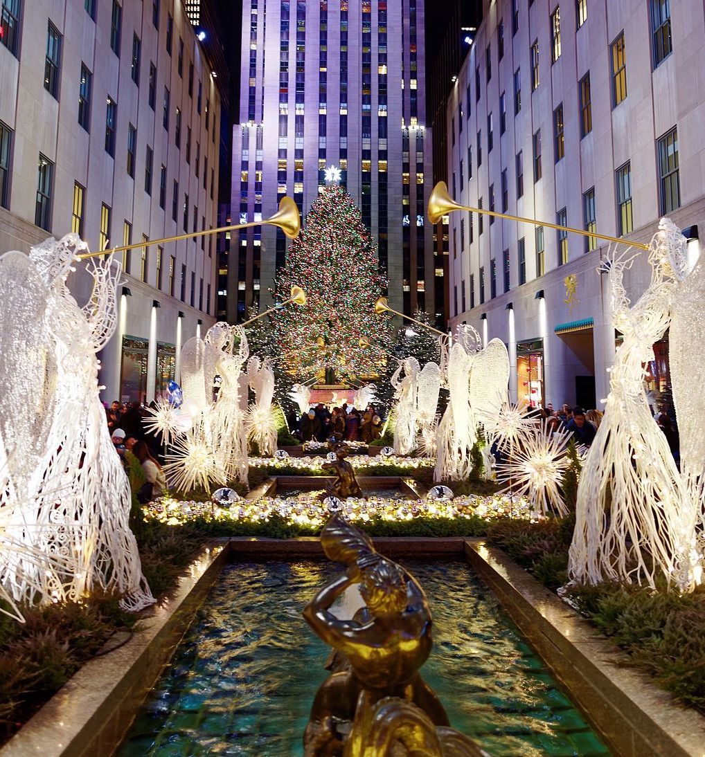 Rescatan un pequeño búho del árbol de Navidad del Rockefeller Center en Nueva York
