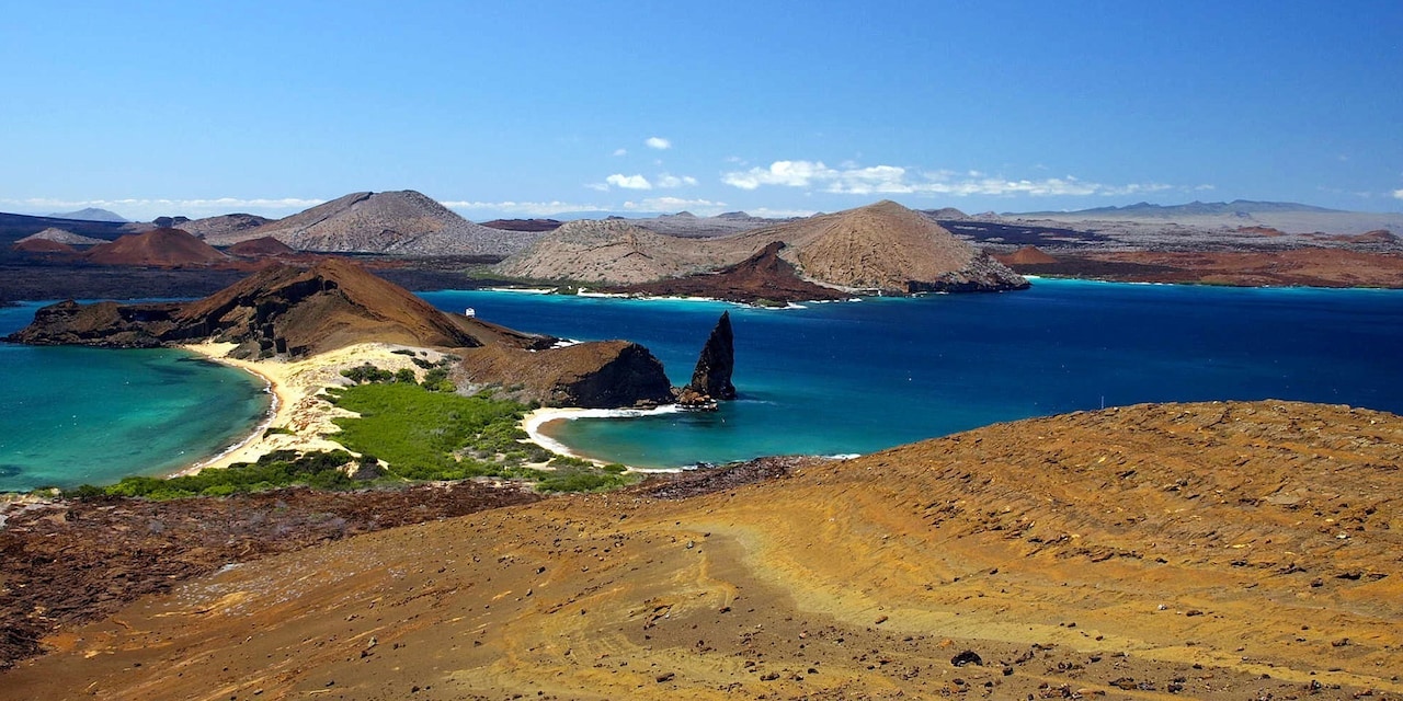 Disney Expedition Cruising también ofrece vivir exóticas aventuras en las Islas Encantadas de las Galápagos