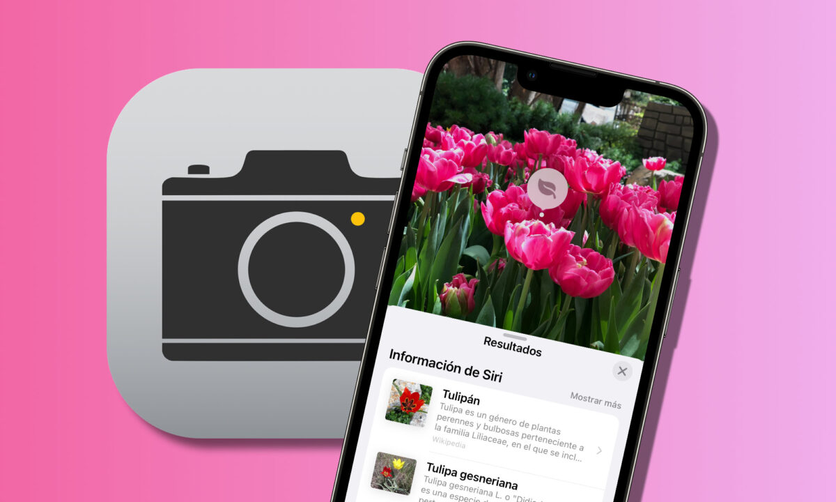 Cómo usar nuestro iPhone para identificar plantas, animales monumentos y más con una sola foto