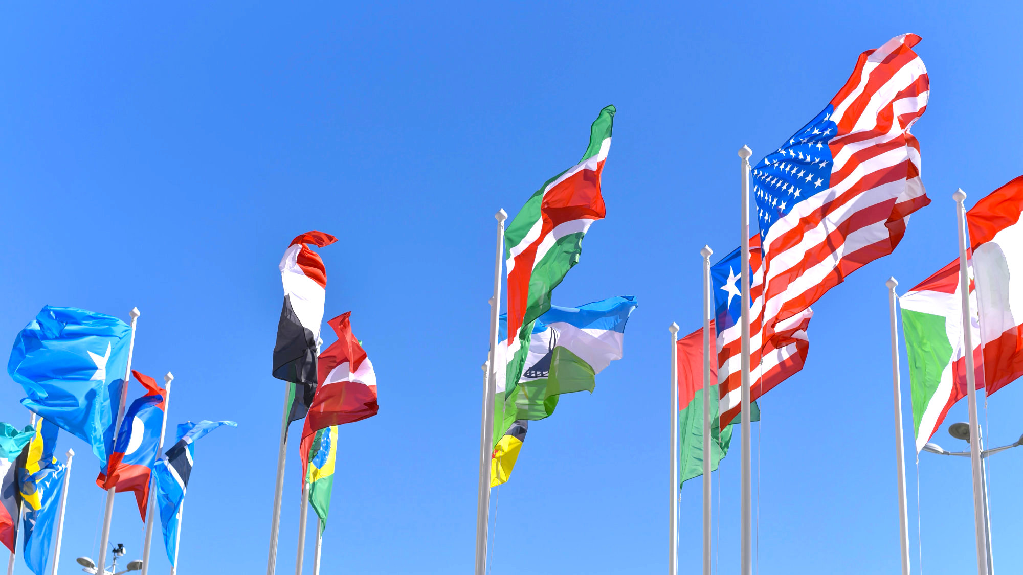 ¿Cuáles son los dos únicos países del mundo que tienen la bandera cuadrada?