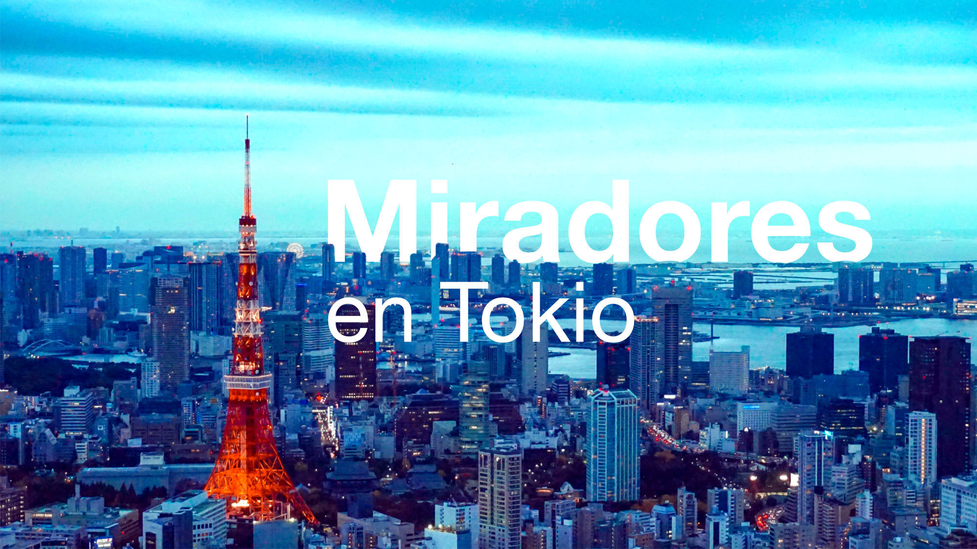 Miradores en Tokio: estos son los tres mejores