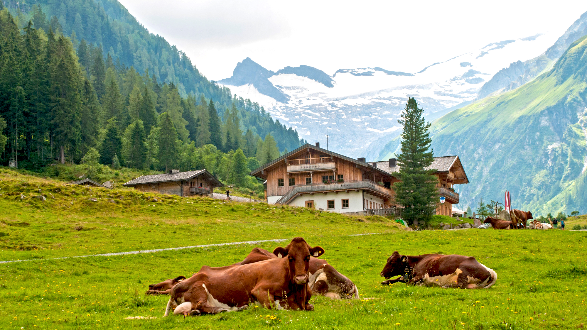 El Tirol: aquí esta y así es la famosa región alpina entre Italia y Austria